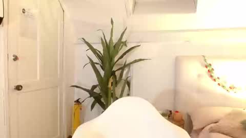 sweet blueberry  online show from February 2025 05:16:02 PM