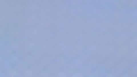 Catalina online show from February 2025 11:06:01 PM