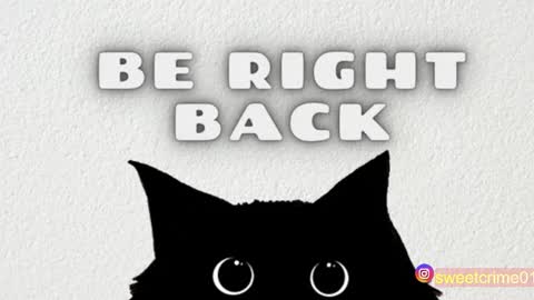       Independent model online show from October 2025 03:38:02 AM