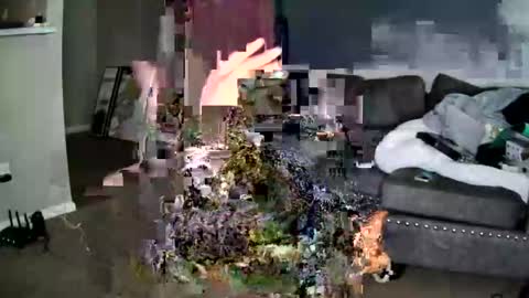 sweetness_cool online show from October 2025 07:57:02 PM