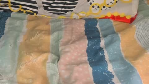 Lilly  online show from January 2025 12:26:02 AM