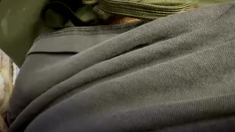 Snapshot of t265h chatting on October 2025 01:03:01 AM tRex online show from October 2025 01:03:01 AM