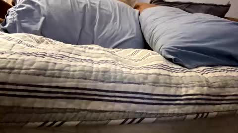 Snapshot of t265h chatting on November 2025 12:43:01 AM tRex online show from November 2025 12:43:01 AM