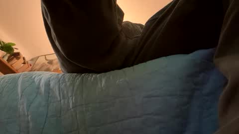 Snapshot of t265h chatting on November 2025 11:21:02 PM tRex online show from November 2025 11:21:02 PM