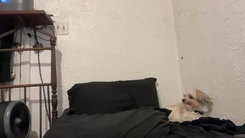 Snapshot of talenjames chatting on September 2025 10:26:01 PM Talen James online show from September 2025 10:26:01 PM