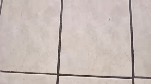 tall6feet7inch online show from September 2025 08:03:01 PM