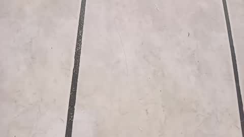 tall6feet7inch online show from October 2025 09:40:01 AM