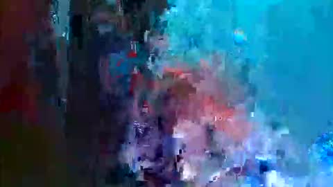 Snapshot of tatiana_wd chatting on October 2025 11:18:02 AM tatiana online show from October 2025 11:18:02 AM