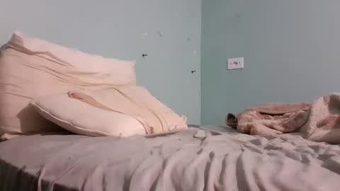 Snapshot of taulerfox chatting on November 2025 05:28:02 AM Caito online show from November 2025 05:28:02 AM