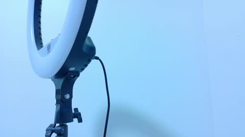 Snapshot of taylorsmitth_ chatting on November 2025 11:53:02 AM TAYLOR online show from November 2025 11:53:02 AM