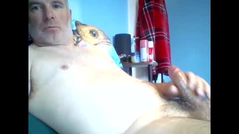 Snapshot of tazo78 chatting on November 2025 12:58:02 PM tazo78 online show from November 2025 12:58:02 PM