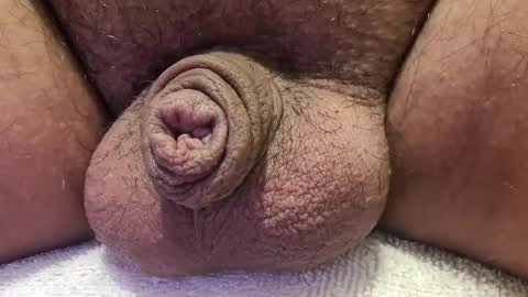 Luis online show from October 2025 12:22:02 AM