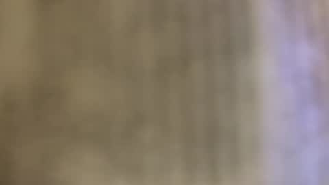 Luis online show from October 2025 12:30:02 AM