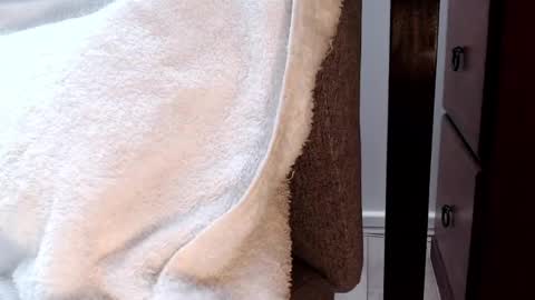 Tedging2 online show from January 2025 07:38:02 AM