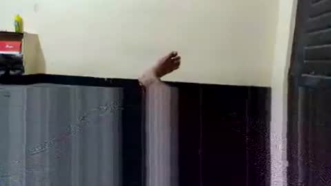 Snapshot of telugu_dick_hyd chatting on November 2025 10:53:02 PM telugu_dick_hyd online show from November 2025 10:53:02 PM