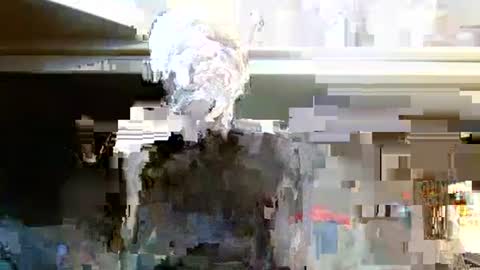 Snapshot of terdy2366 chatting on October 2025 03:25:02 AM terdy2366 online show from October 2025 03:25:02 AM