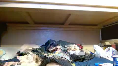 Snapshot of terdy2366 chatting on October 2025 06:02:02 AM terdy2366 online show from October 2025 06:02:02 AM