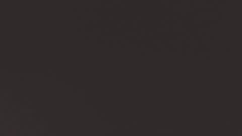 Snapshot of tesspleasure chatting on January 2025 06:24:02 AM TESSA online show from January 2025 06:24:02 AM