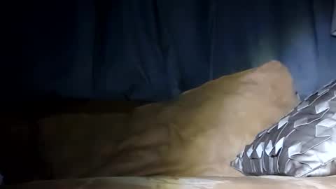 Snapshot of texasfried chatting on January 2025 07:46:02 AM MauiMinded808 online show from January 2025 07:46:02 AM