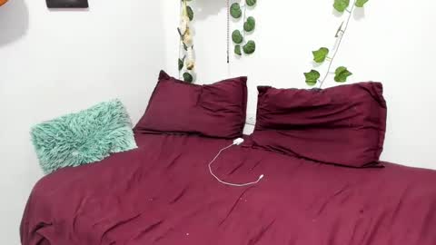 Ariamapola88 online show from February 2025 04:06:01 AM