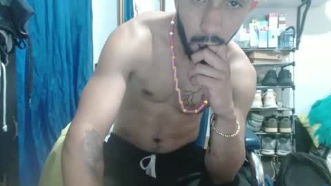 Snapshot of thehousedog chatting on February 2025 05:04:01 PM thehousedog online show from February 2025 05:04:01 PM