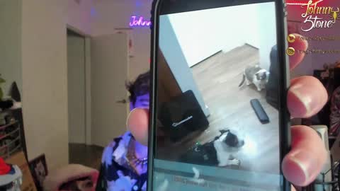 Snapshot of thejohnnystone chatting on December 2024 01:13:01 AM Johnny Stone online show from December 2024 01:13:01 AM