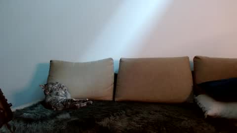 Yoshi online show from January 2025 09:25:02 PM