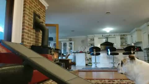 therealkurva4u online show from September 2025 08:07:01 AM
