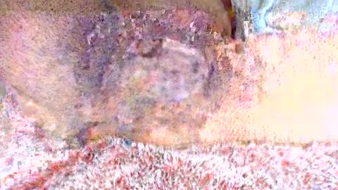 thetightestass14 online show from February 2025 08:36:01 PM