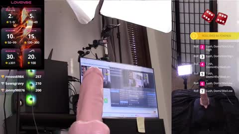 Snapshot of thewillowfox chatting on January 2025 09:08:02 PM The Willow Fox online show from January 2025 09:08:02 PM