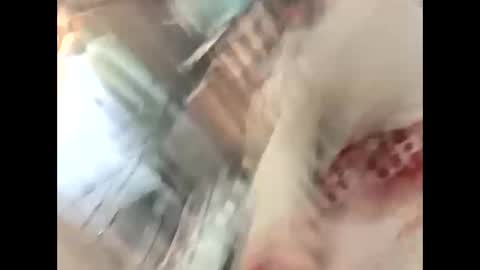 Snapshot of thunder8u42 chatting on October 2025 12:37:01 PM thunder8u42 online show from October 2025 12:37:01 PM