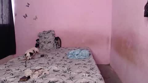 Snapshot of tianiiss_sweet chatting on November 2025 09:37:01 PM Tiana online show from November 2025 09:37:01 PM