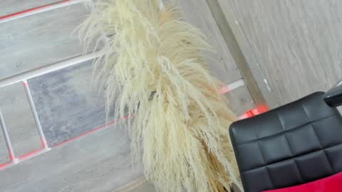 Snapshot of tiff_valentine chatting on February 2025 07:50:01 AM Tiffany online show from February 2025 07:50:01 AM