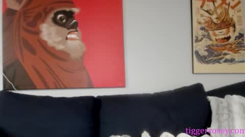 Snapshot of tiggerrosey chatting on November 2025 07:25:01 PM All my Links online show from November 2025 07:25:01 PM