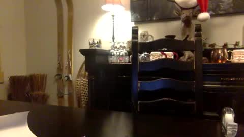 Snapshot of tinyandtatted420 chatting on December 2025 01:22:02 AM tinyandtatted420 online show from December 2025 01:22:02 AM