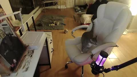 stage Kylie Sinner  brand CLITBAIT online show from January 2025 08:32:02 AM