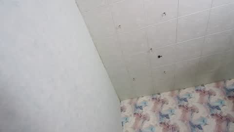 tits_your_dreams online show from December 2024 05:04:01 AM