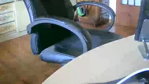 Tobiko online show from September 2025 11:48:01 AM