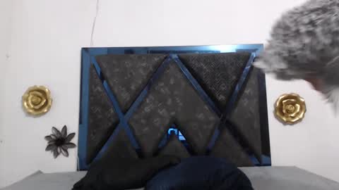 Tom And Jerry 69 online show from October 2025 01:08:02 PM