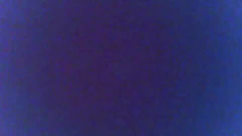 tonimoran online show from January 2025 10:41:01 PM