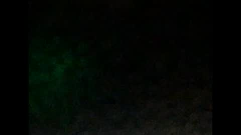 Snapshot of tonydigitt chatting on January 2025 10:05:01 AM tonyd online show from January 2025 10:05:01 AM