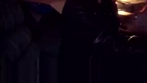 Snapshot of topdogintraining93 chatting on October 2025 03:43:01 AM SagMeOreduceMe online show from October 2025 03:43:01 AM