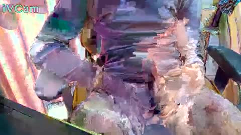 traditional_set_726 online show from January 2025 01:36:01 PM