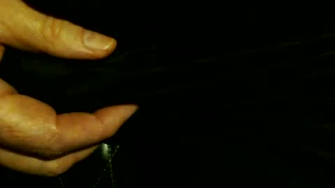 trailblazer1969 online show from October 2025 03:59:02 AM