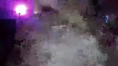 transgirl005 online show from November 2025 10:03:01 AM