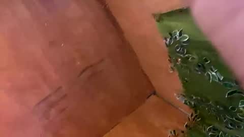 trebz_01 online show from November 2025 07:58:01 AM