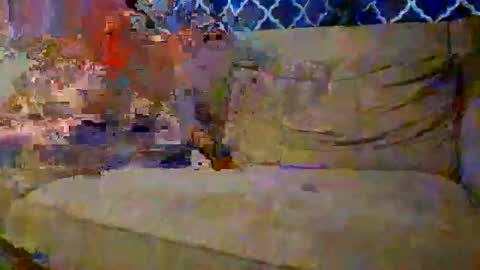 Snapshot of trex23rd chatting on December 2025 09:54:02 PM trex23rd online show from December 2025 09:54:02 PM