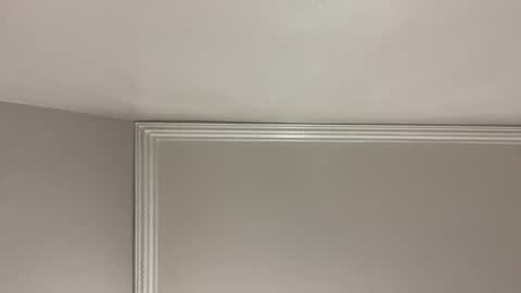 Snapshot of trillahung chatting on December 2024 09:17:02 AM WapBopper online show from December 2024 09:17:02 AM