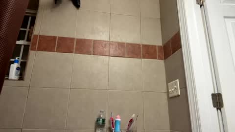 Snapshot of trillahung chatting on February 2025 12:06:01 AM WapBopper online show from February 2025 12:06:01 AM