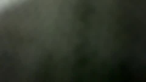 Snapshot of tripit1 chatting on December 2025 08:43:01 AM tripit1 online show from December 2025 08:43:01 AM